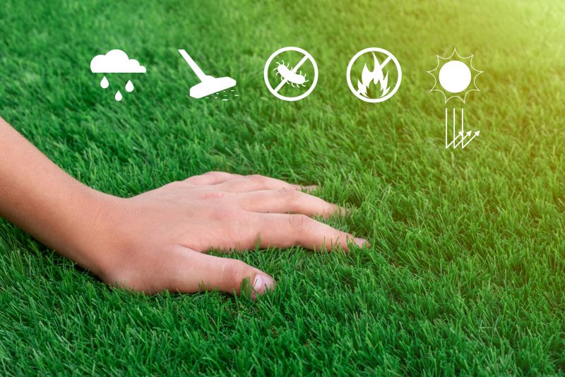 Turf Maintenance