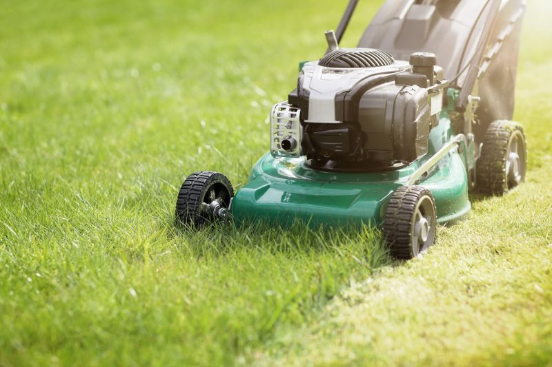 Lawn Mower Types